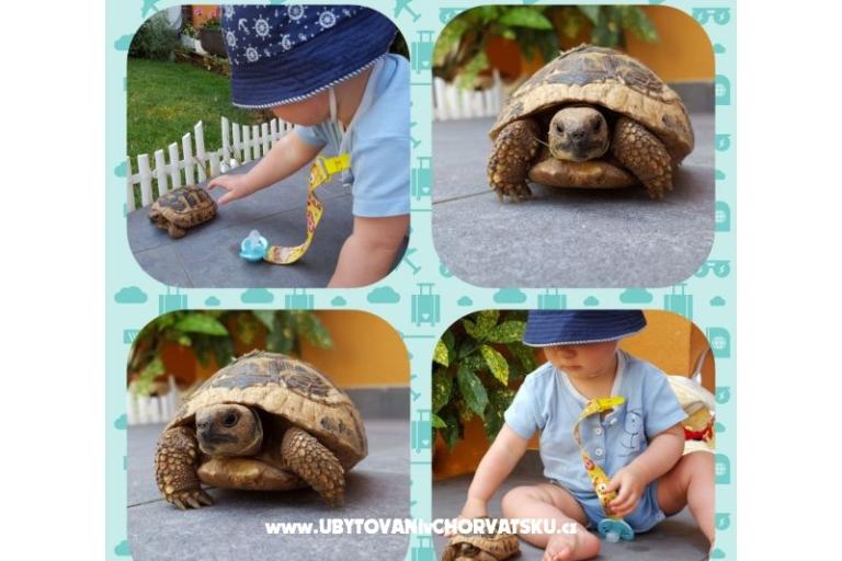 Appartements Marin – foto 13