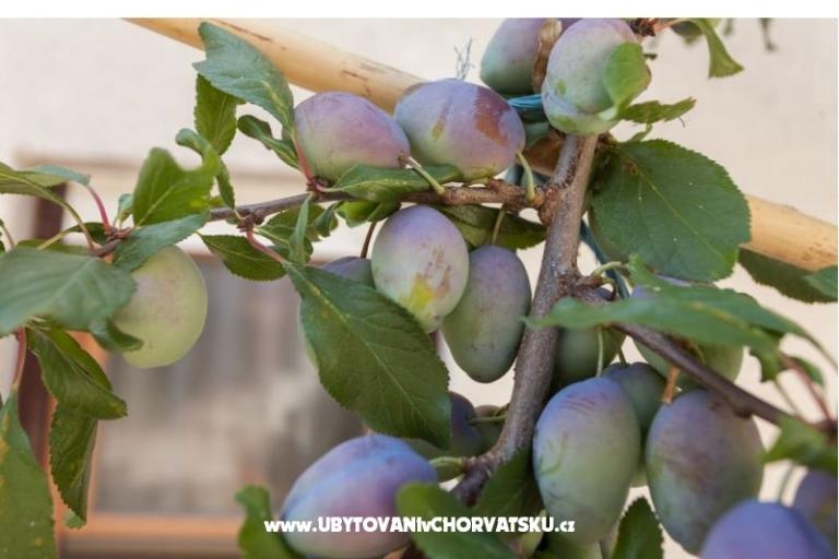 Appartements Udovičić – foto 8