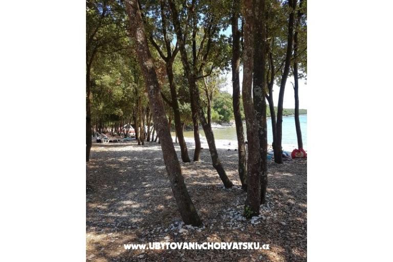 Appartements Duga Uvala – foto 15