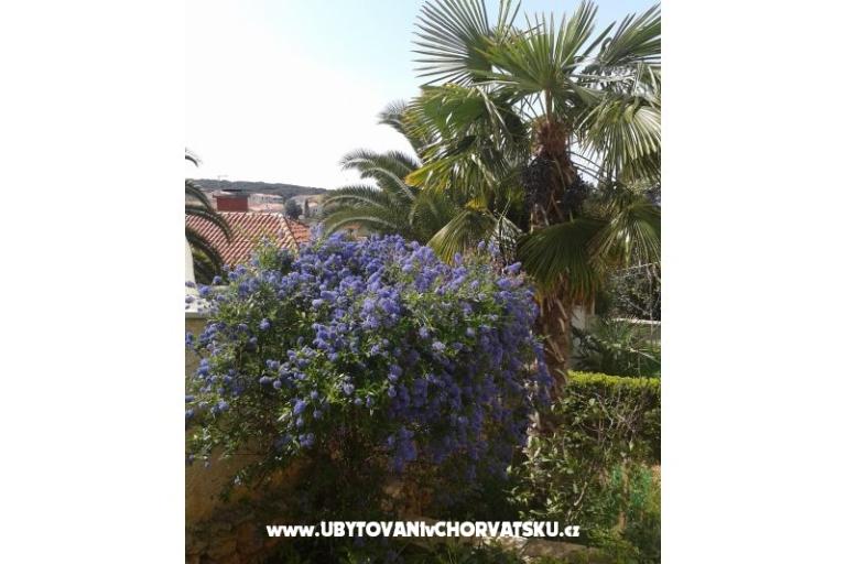 Appartements Ivana – foto 14