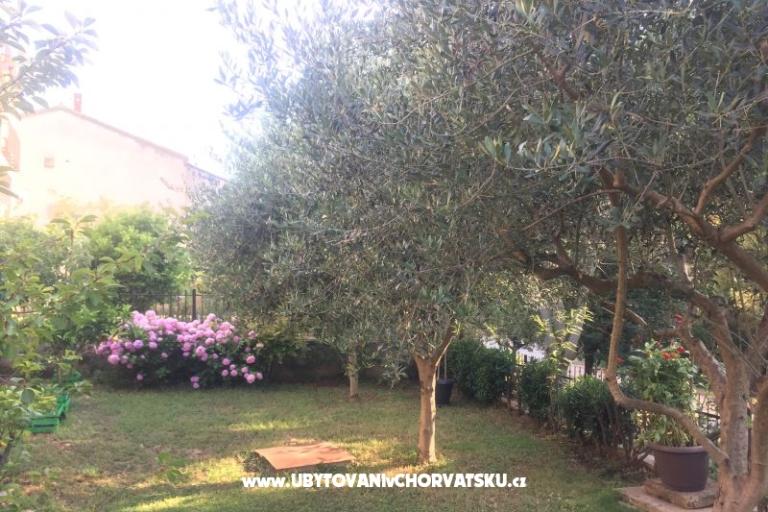 Appartements Tea – foto 12