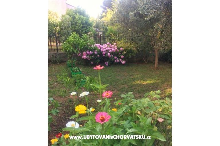 Appartements Tea – foto 13