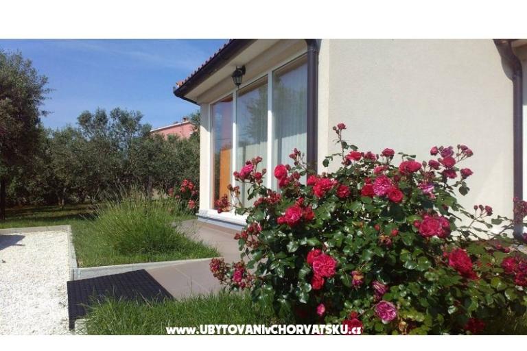 Maison de vacances Brcina – foto 7