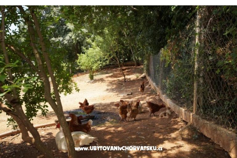 Maison Corina – foto 18