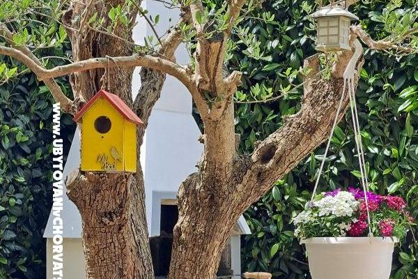 APP Malu – foto 24