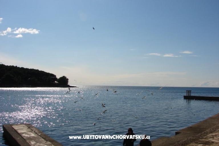 Appartement Petra – foto 11