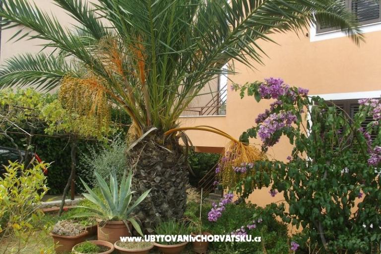 Maison privée – foto 11