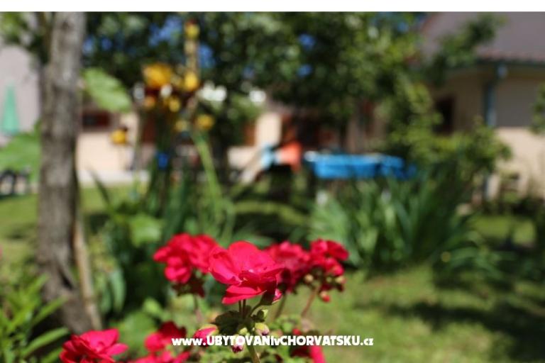 Štinjan apartmani Elda – foto 15