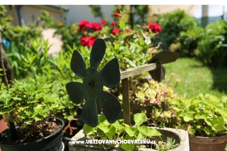 Štinjan apartmani Elda – foto 16