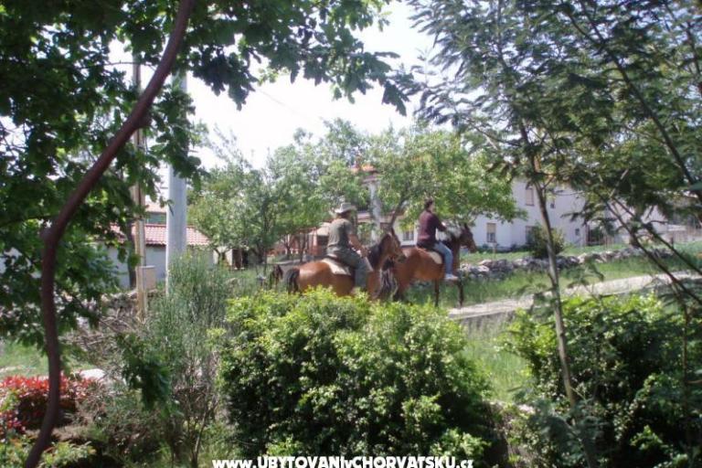 Villa Lorena – foto 16