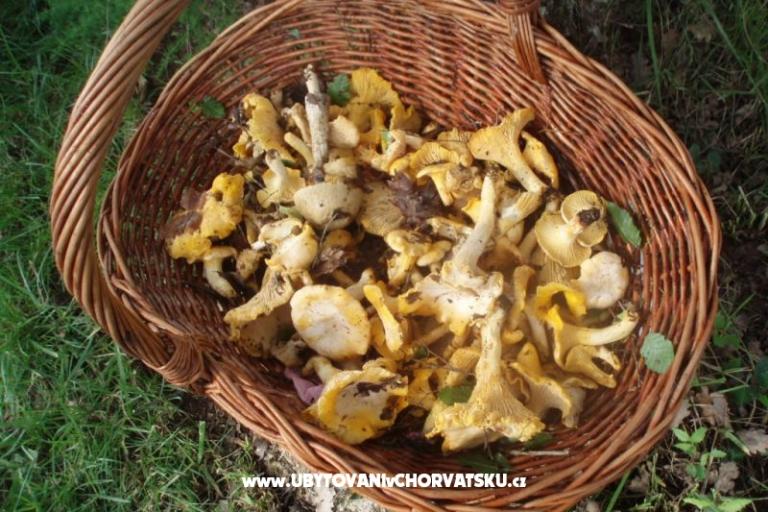 Villa Lorena – foto 18