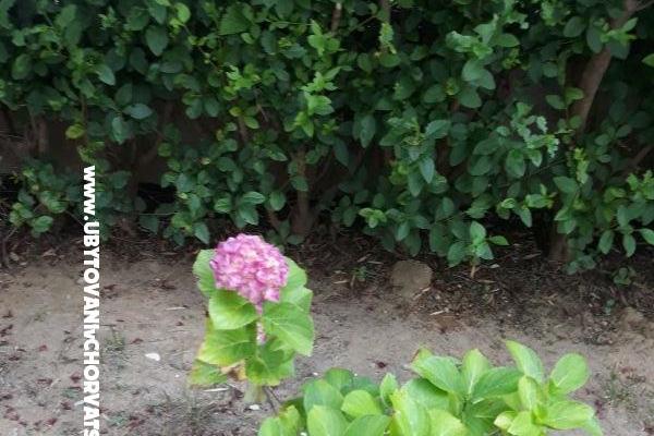 Appartements Damir-Julija – foto 40