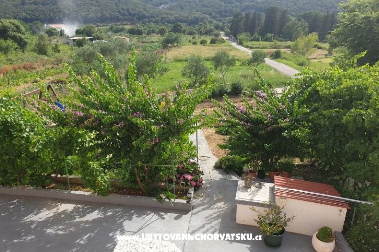 Appartements Lupić – foto 17