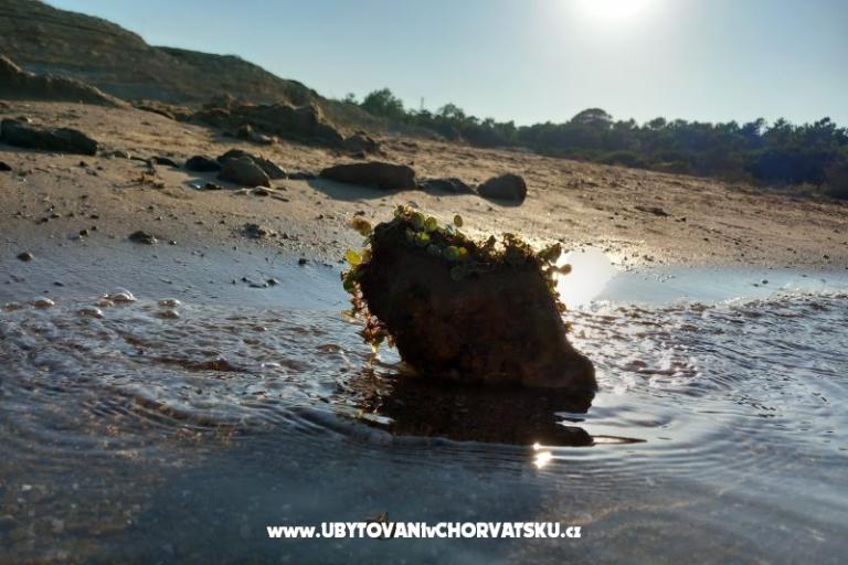 Appartements Mira – foto 23