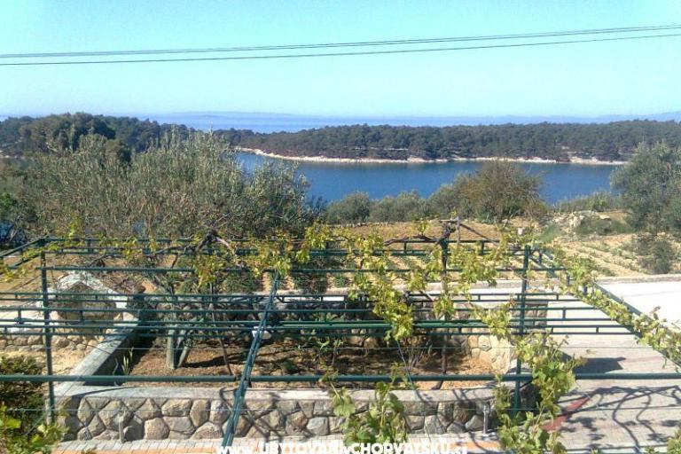 Appartements Mlacović – foto 10