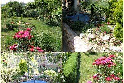 Appartements Skoblar Holiday-Rab – foto 2