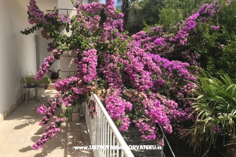 Appartements  Španjol – foto 4