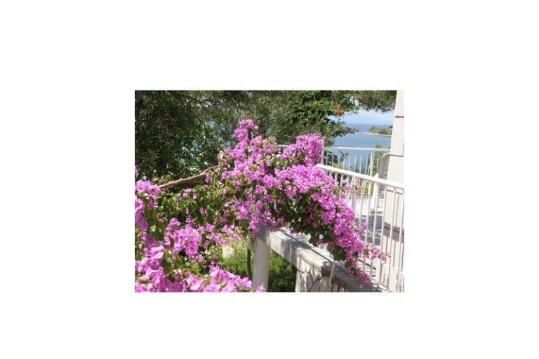 Appartements  Španjol – foto 7