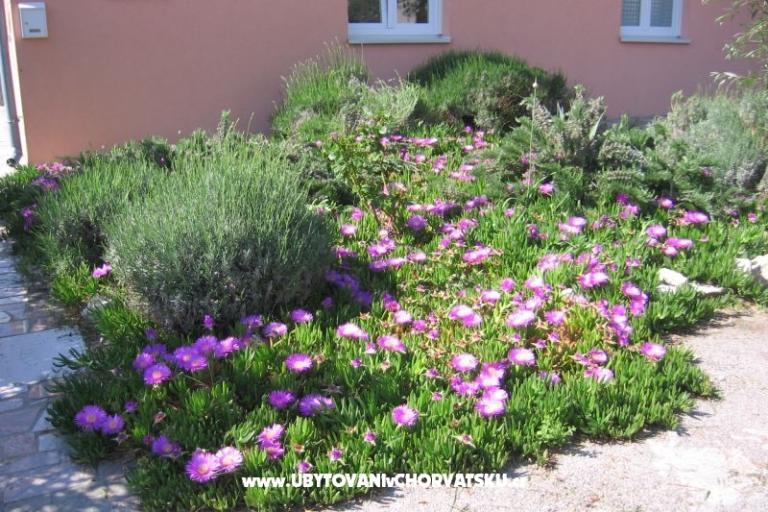 Appartement Marina exclusive – foto 3