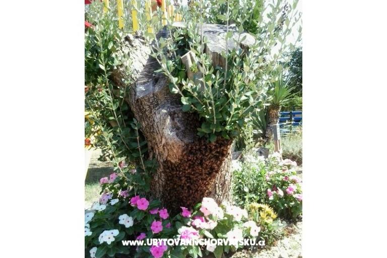 Appartements- Villa Ilijic – foto 10