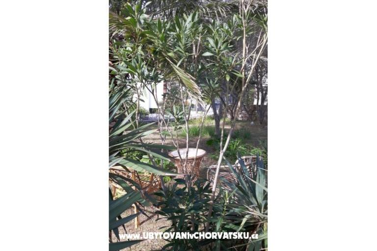 Chambres Jadra – foto 6