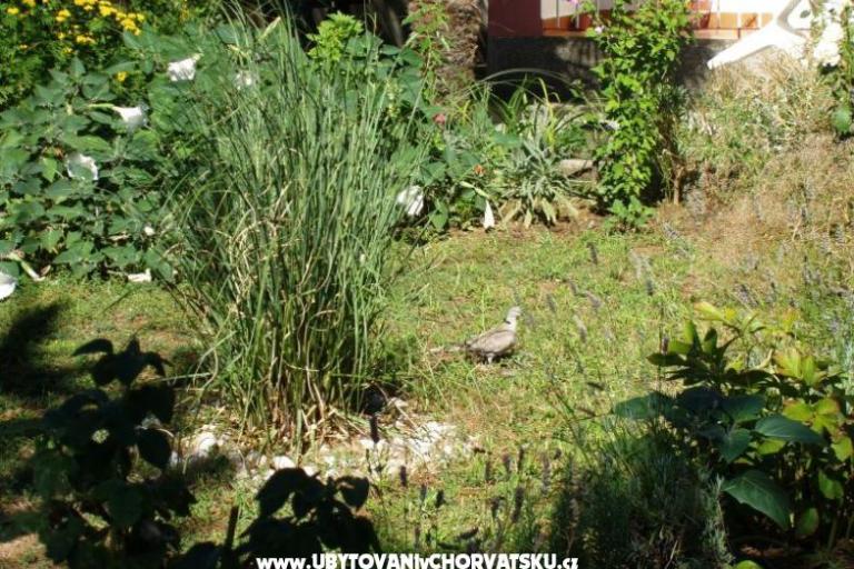 Appartements Malvina – foto 10