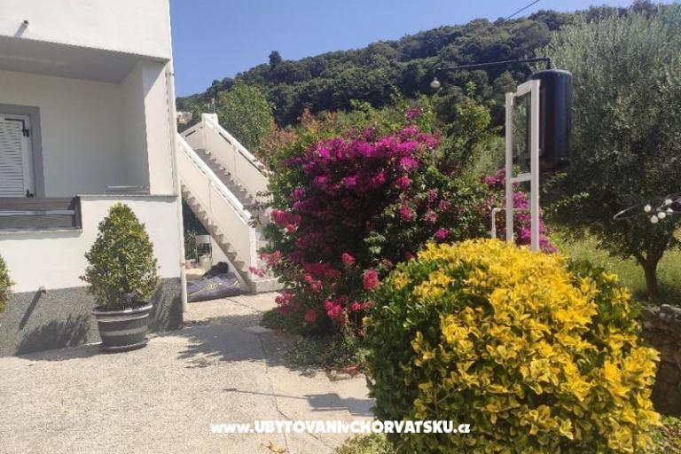 Appartements uvala Vardoža – foto 54