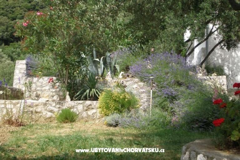 Maison Zorka – foto 9