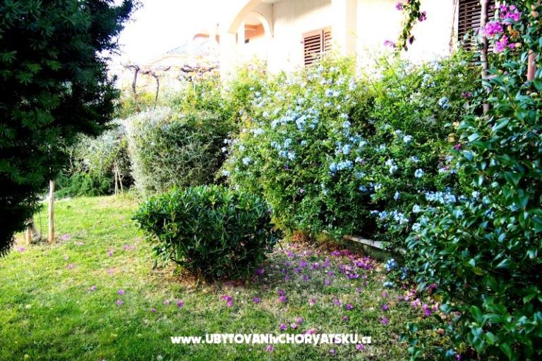 Maison Ivanić – foto 2