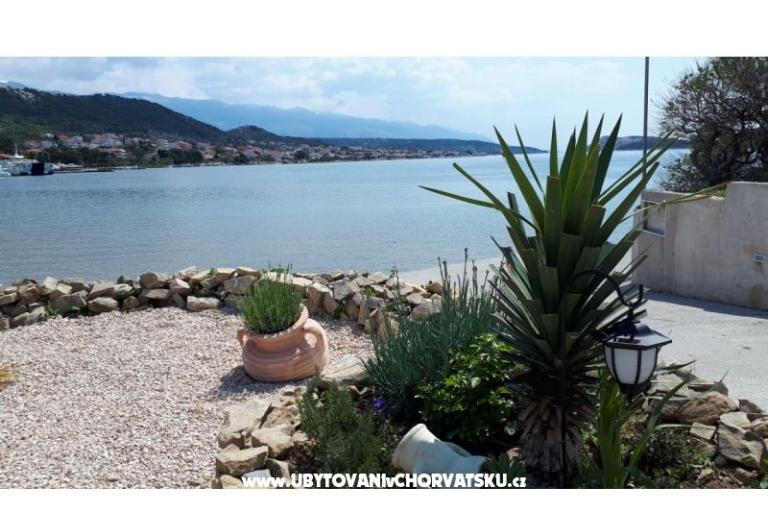 La Gatta Appartements – foto 13