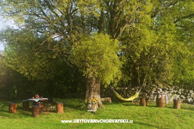 Traditional Istrian Maison ENI – foto 11