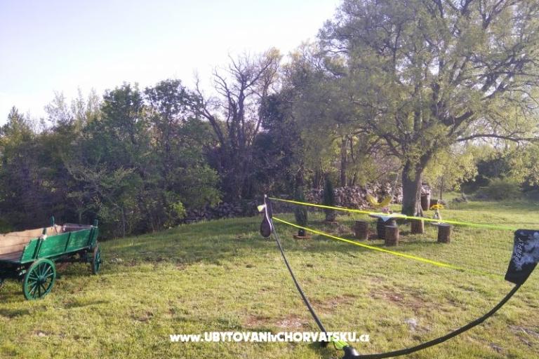 Traditional Istrian Maison ENI – foto 6