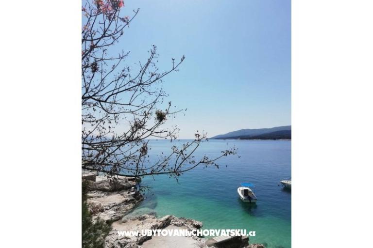 Traditional Istrian Maison ENI – foto 7