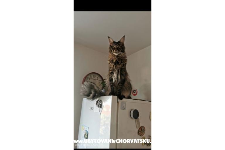 Appartements CAPE – foto 35