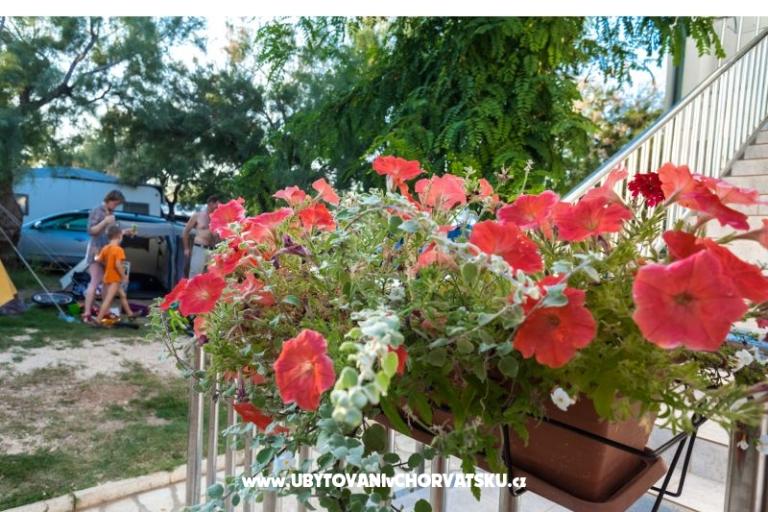 Appartements Puntica – foto 3