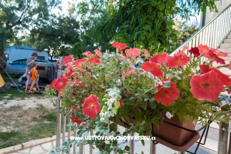 Appartements Puntica – foto 2