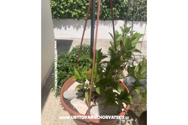 Appartement Odmor – foto 14