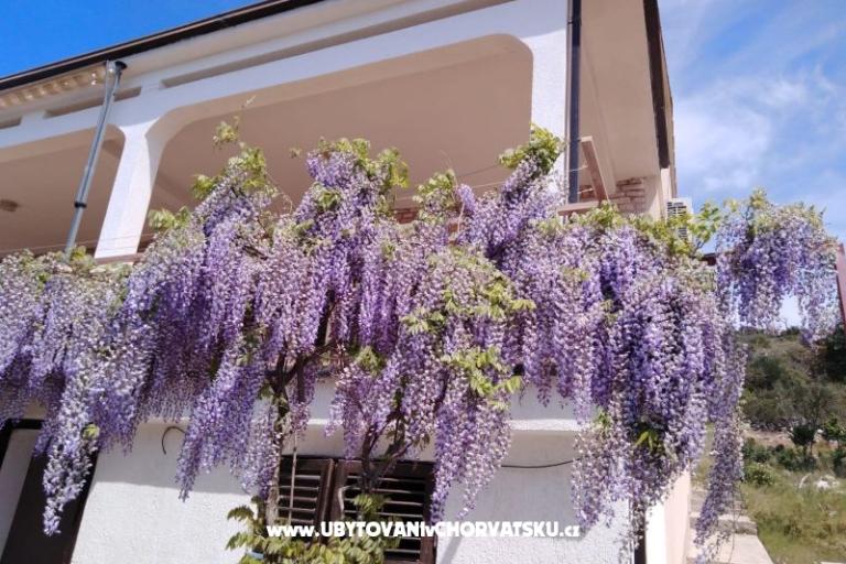 Appartement Mišić - OAZA MIRA – foto 21