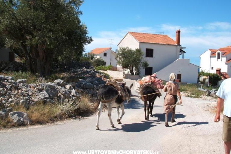 Appartements Bačić – foto 17