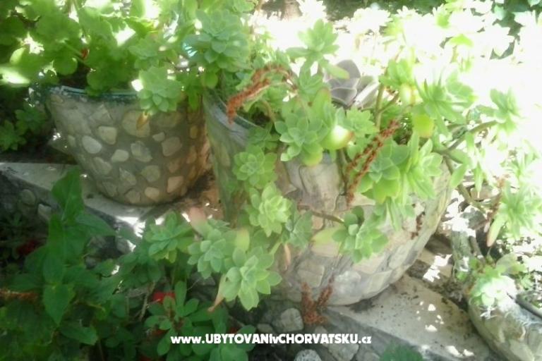 Appartements Baković – foto 6