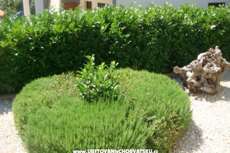 Appartements Bartolić – foto 13