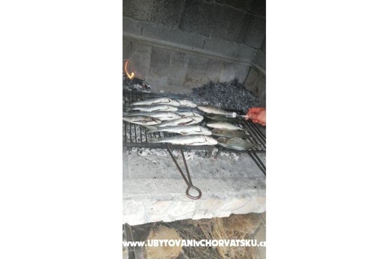 Appartements Diana – foto 16