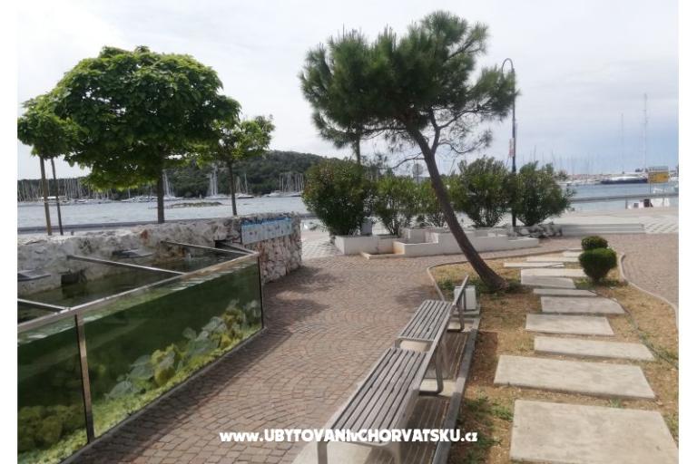 Appartements Diana – foto 5