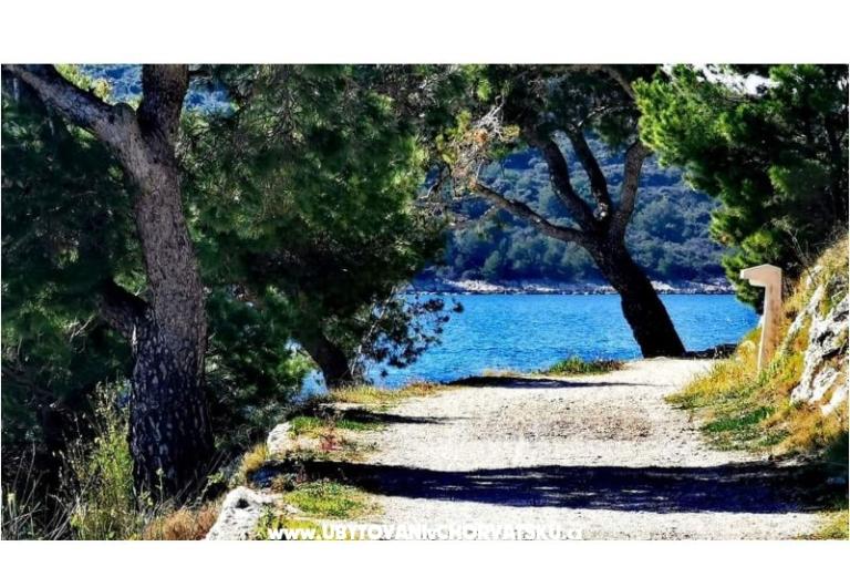 Appartements Diana – foto 9