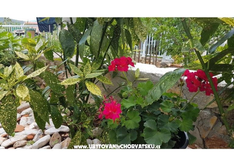 Appartements Mijo – foto 12