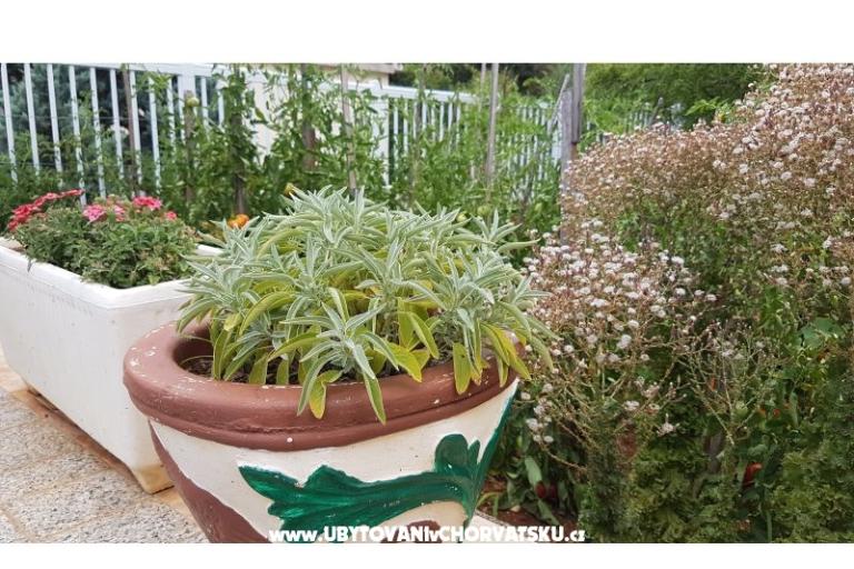 Appartements Mijo – foto 8