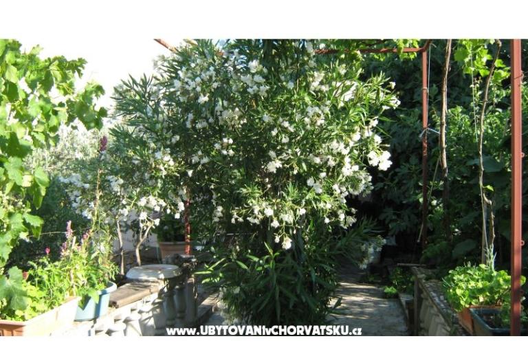 Appartements Miki – foto 8