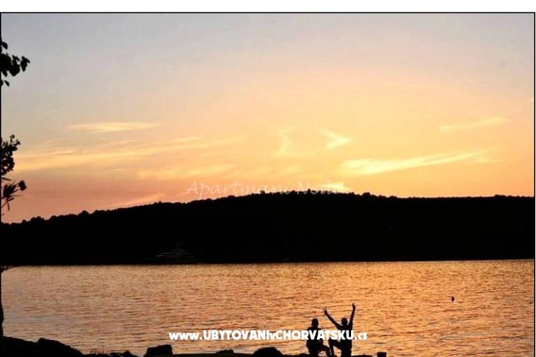 Appartements Neda,Kanica – foto 10