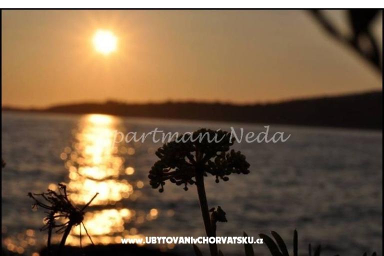 Appartements Neda,Kanica – foto 11