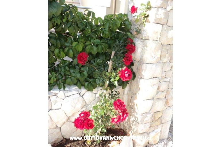 Appartements Neda,Kanica – foto 6